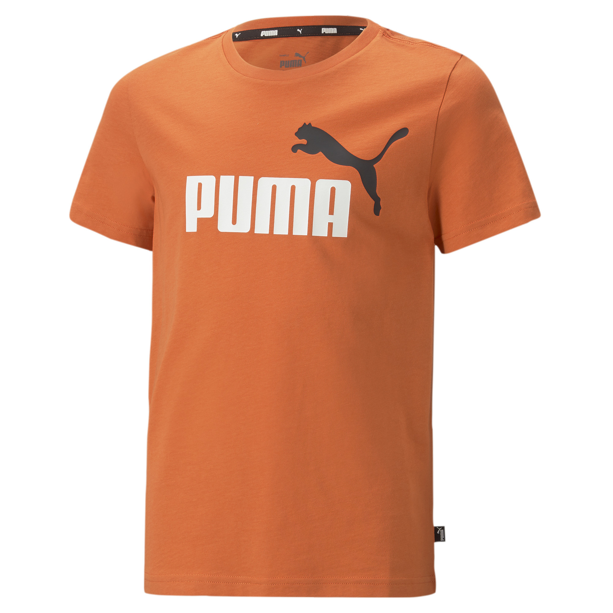 PUMA ESS_plus_2_Col_Logo_Tee_B 586985 095 CHILI POWDER-BLUE AZUR