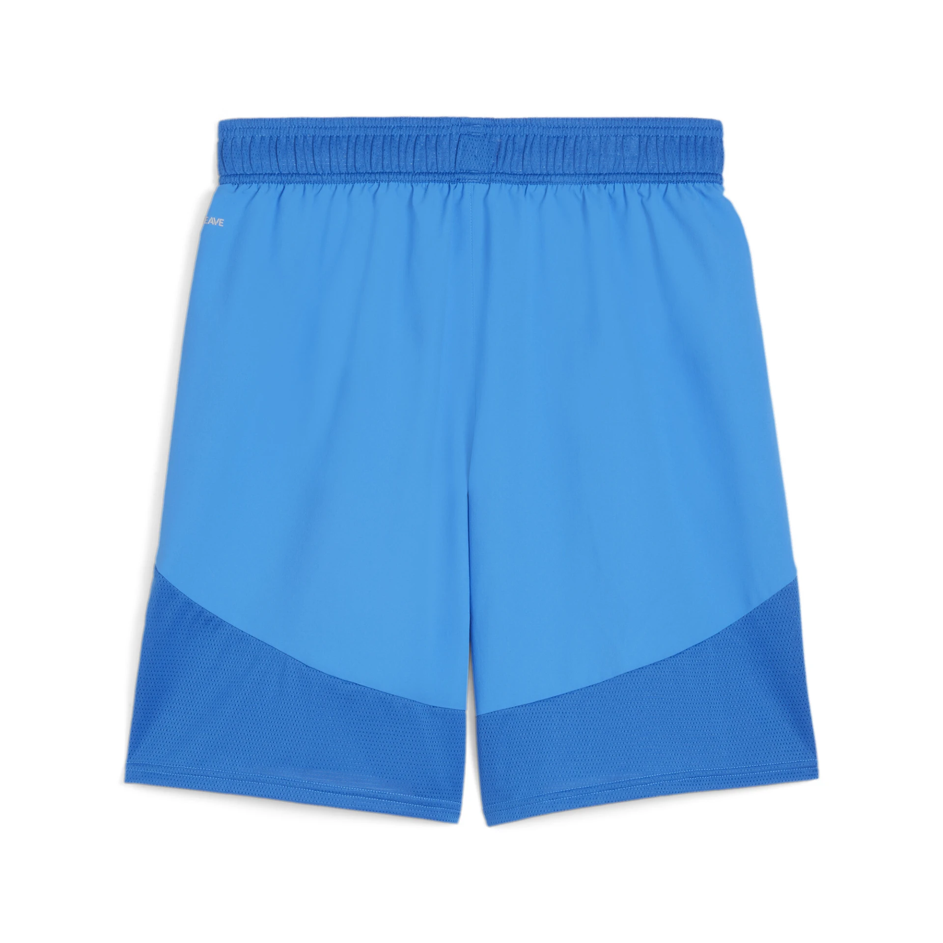 002 Ignite Blue-PUMA White-PUM