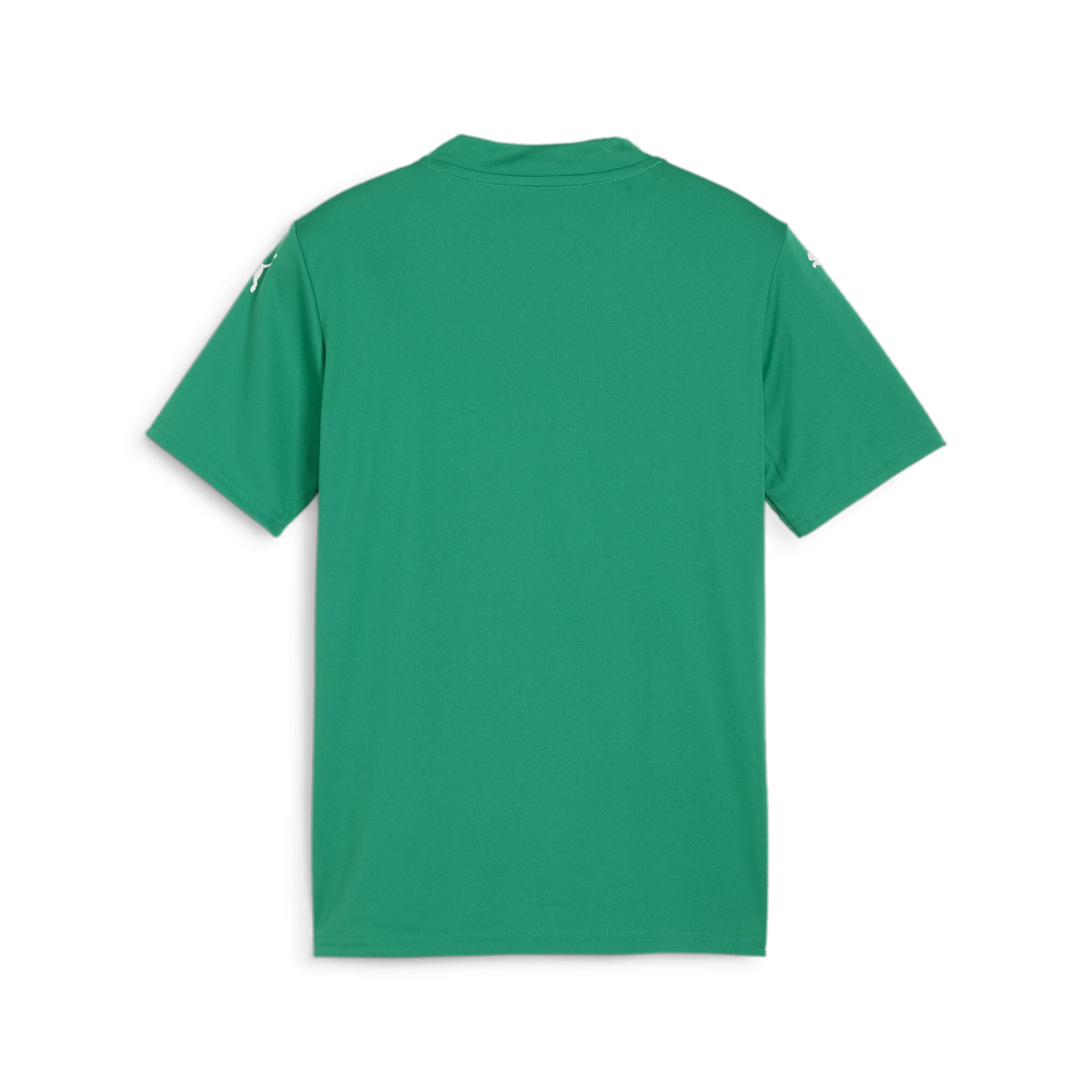 PUMA teamGLORY_Jersey_Jr 705741 005 Sport Green-PUMA White-Pow
