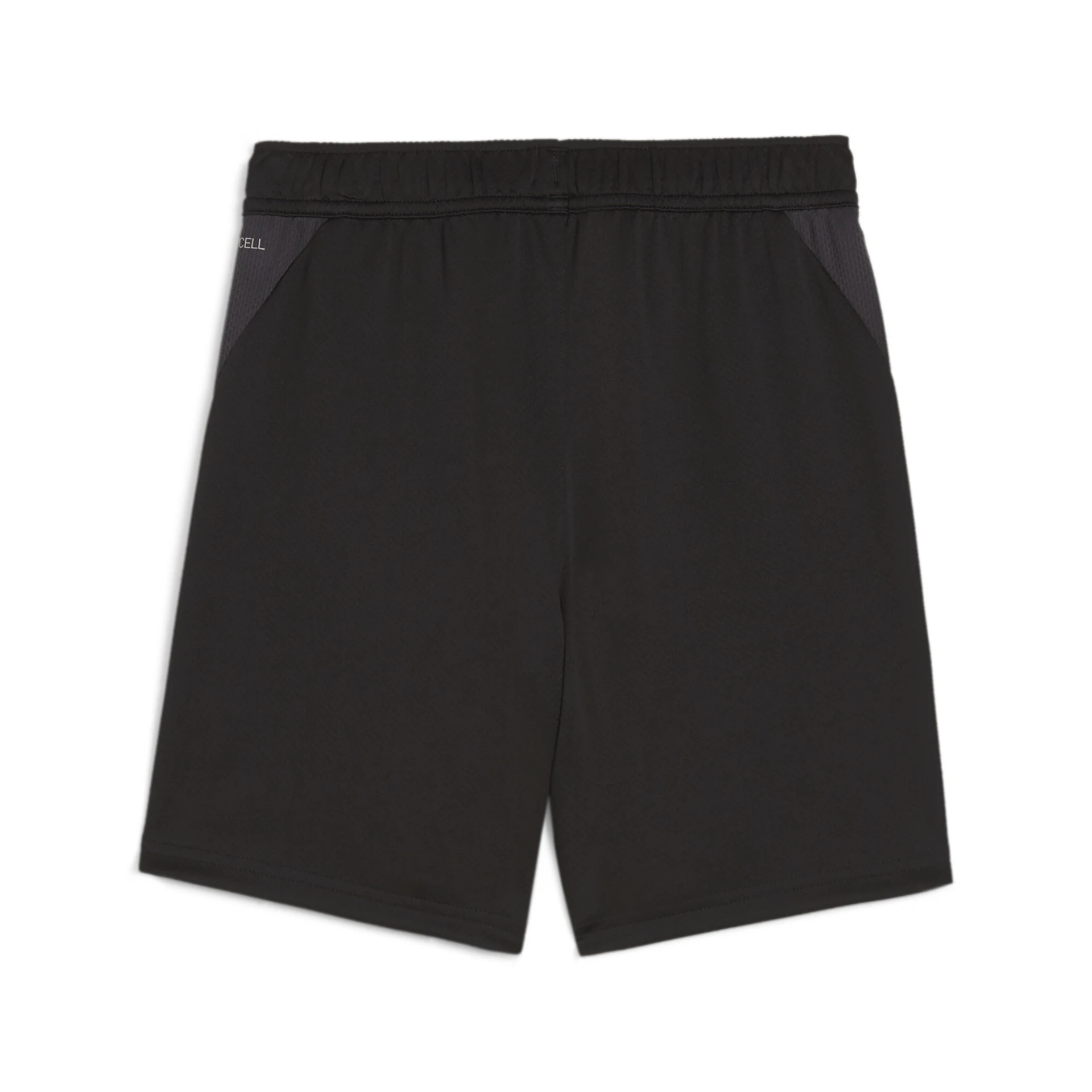PUMA teamGOAL_Training_Short_Jr 658644 003 PUMA Black-PUMA White-Flat