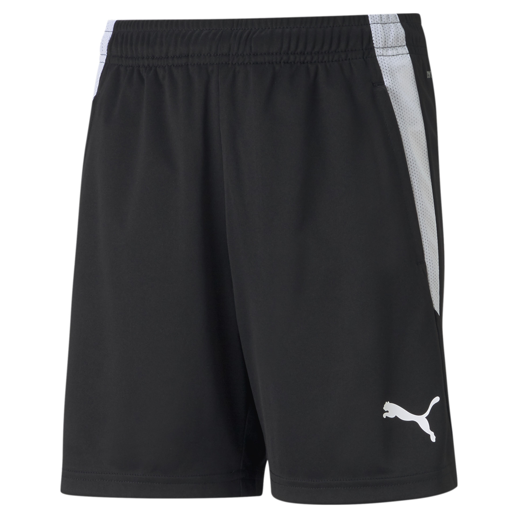 PUMA teamLIGA_Training_Shorts_Jr 657250 003 PUMA BLACK-PUMA WHITE