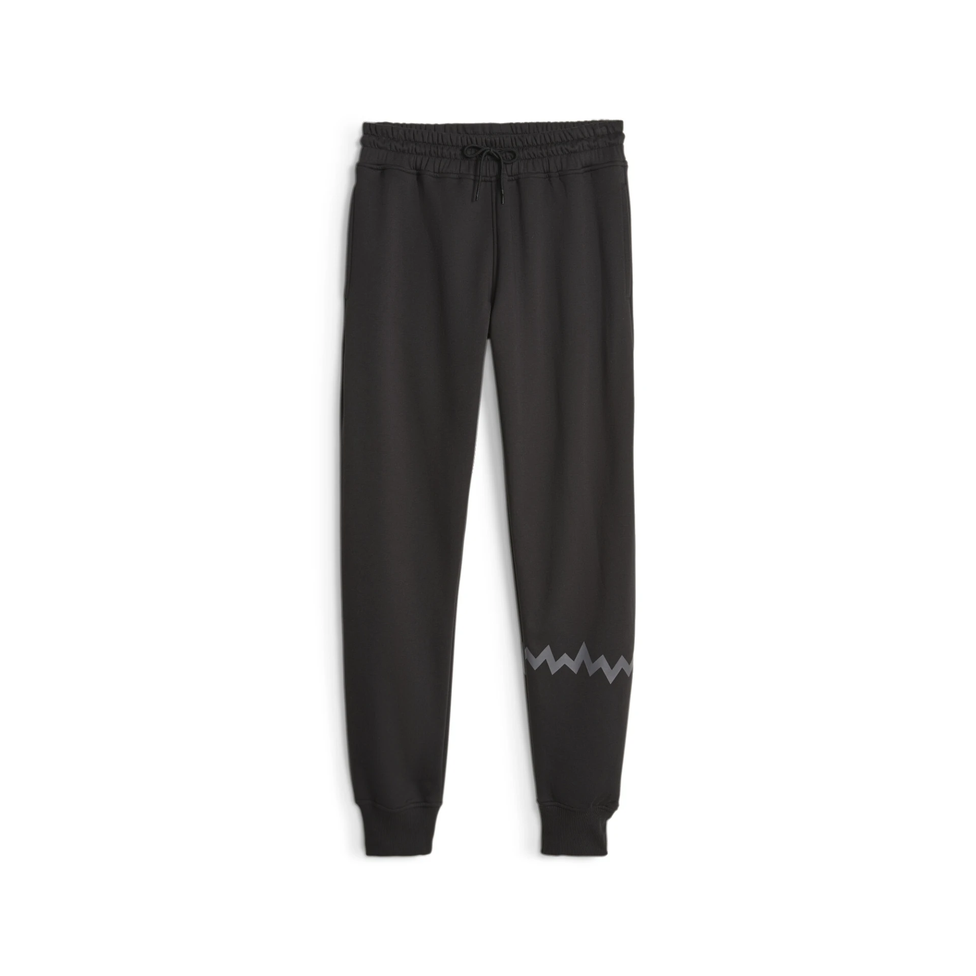 PUMA Hoops_Team_Sweat_Pant 676649 001 PUMA Black