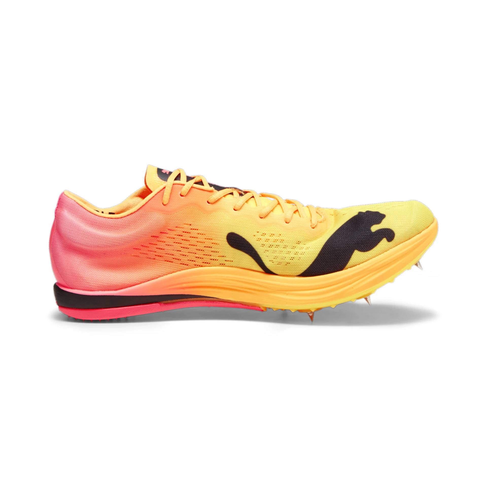 PUMA evoSPEED_Long_Distance_Nitro_Elite 378222 003 SUN STREAM-SUNSET GLOW-PUM