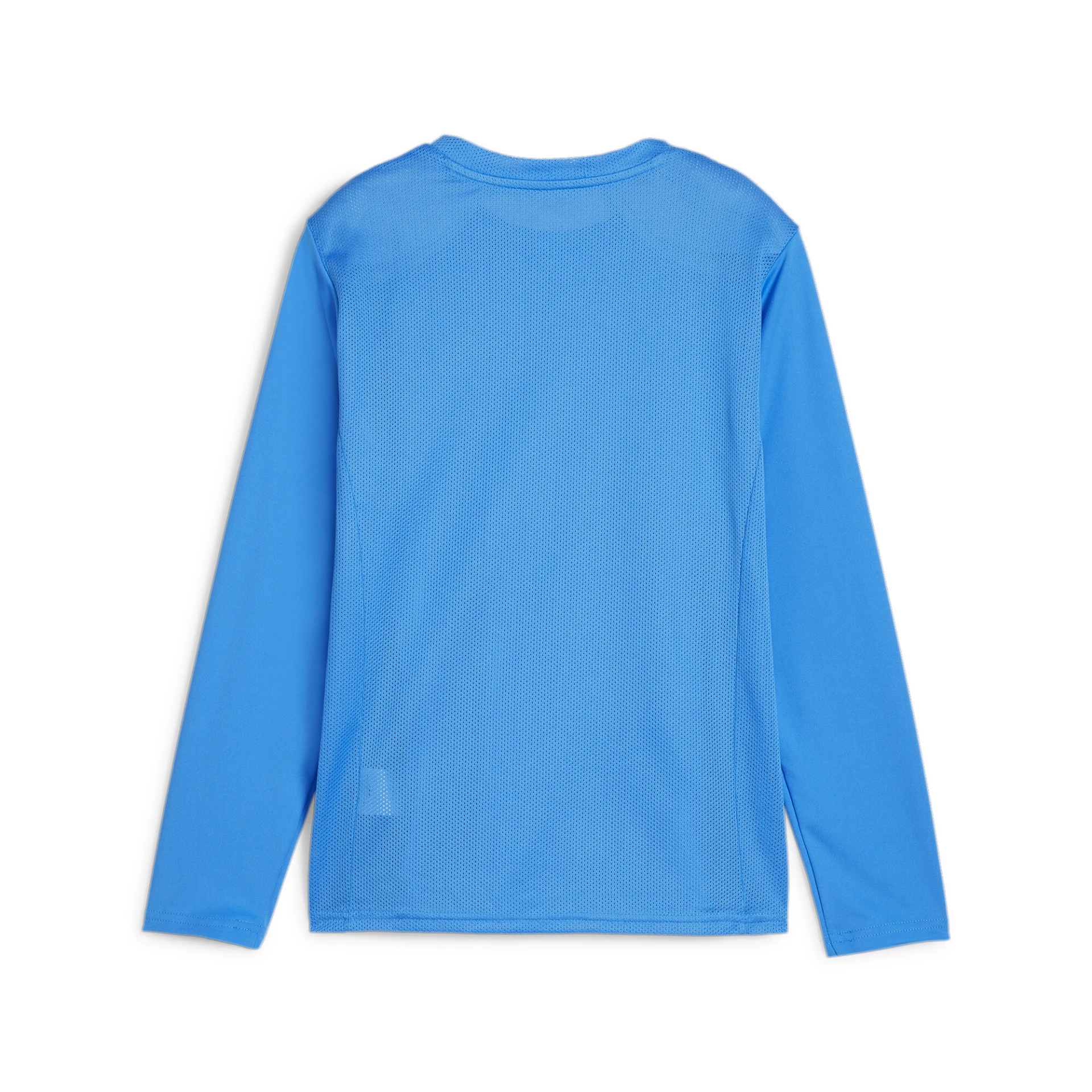 PUMA teamGOAL_LS_Jersey_Jr 705751 002 Electric Blue Lemonade-PUM