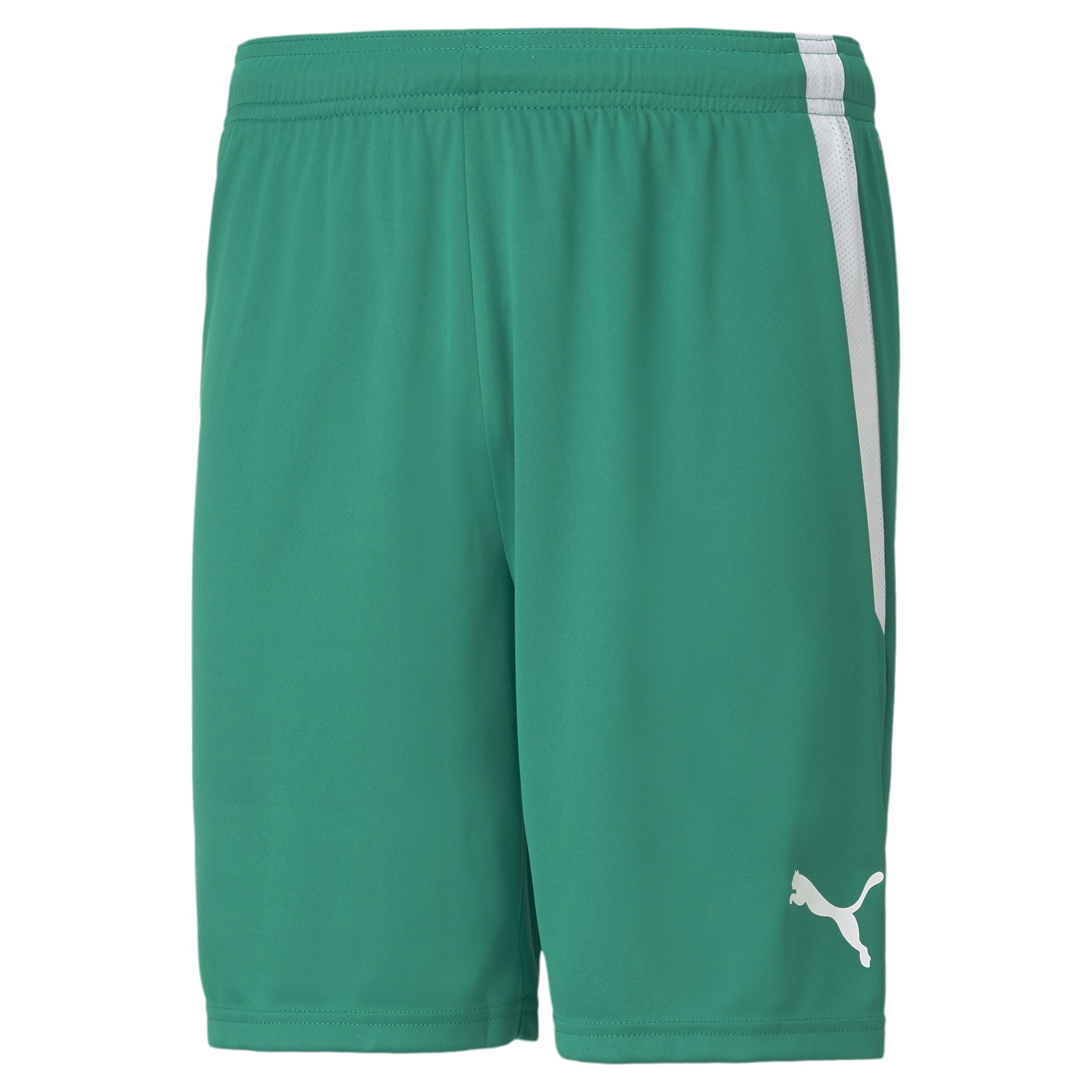 PUMA teamLIGA_Shorts 704924 005 PEPPER GREEN-PUMA WHITE