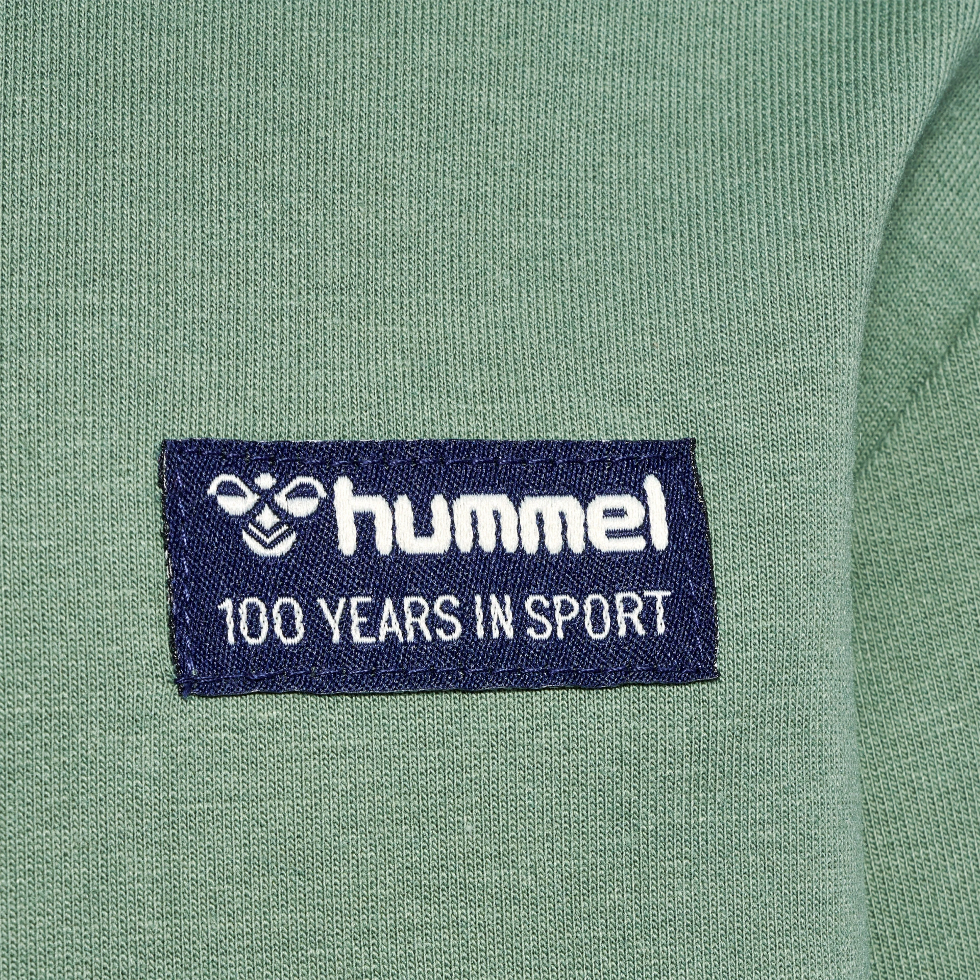 HUMMEL hmlEDDY_HOODIE___LAUREL_WREATH___134 218250 6575 LAUREL WREATH
