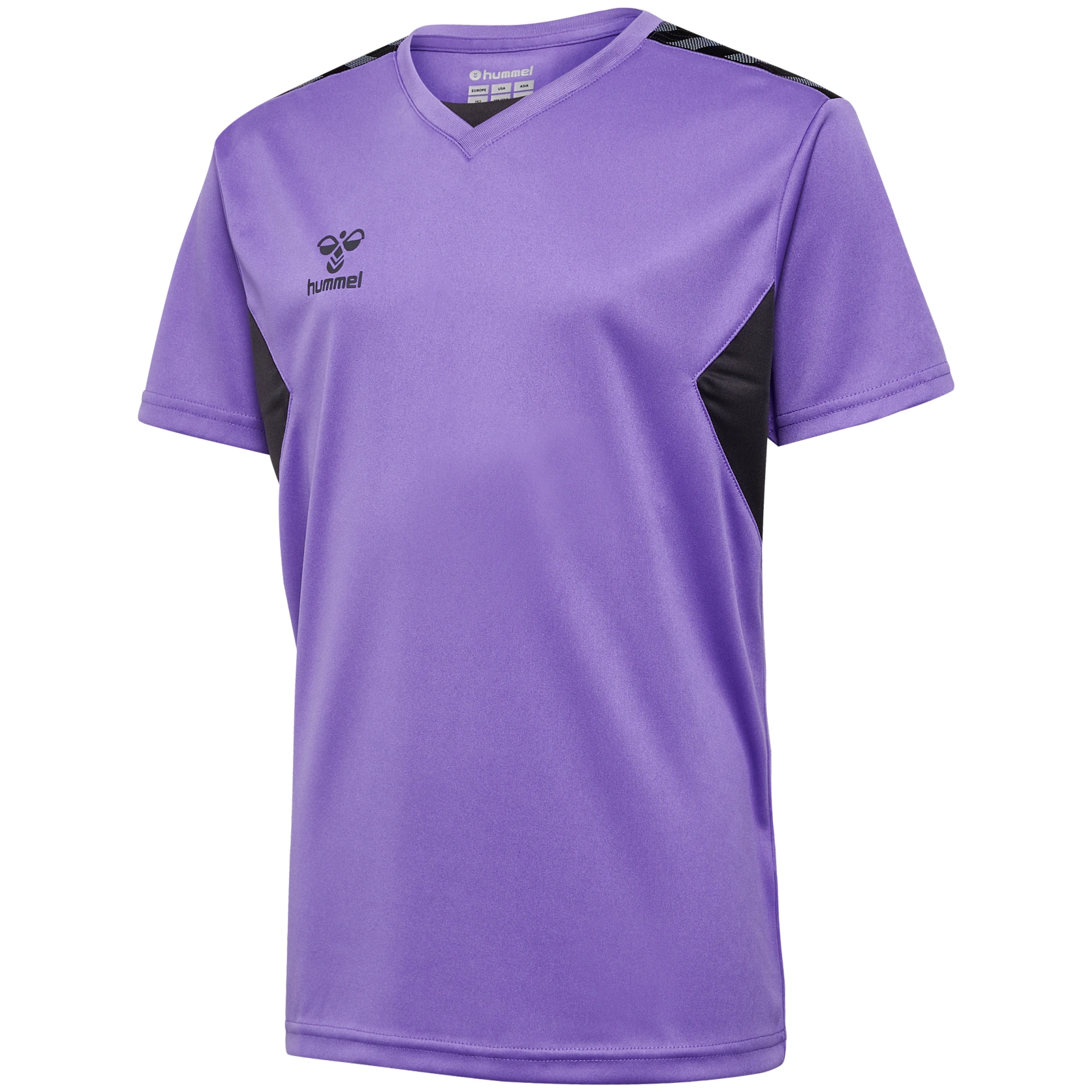 3766 DAHLIA PURPLE/ASPHALT