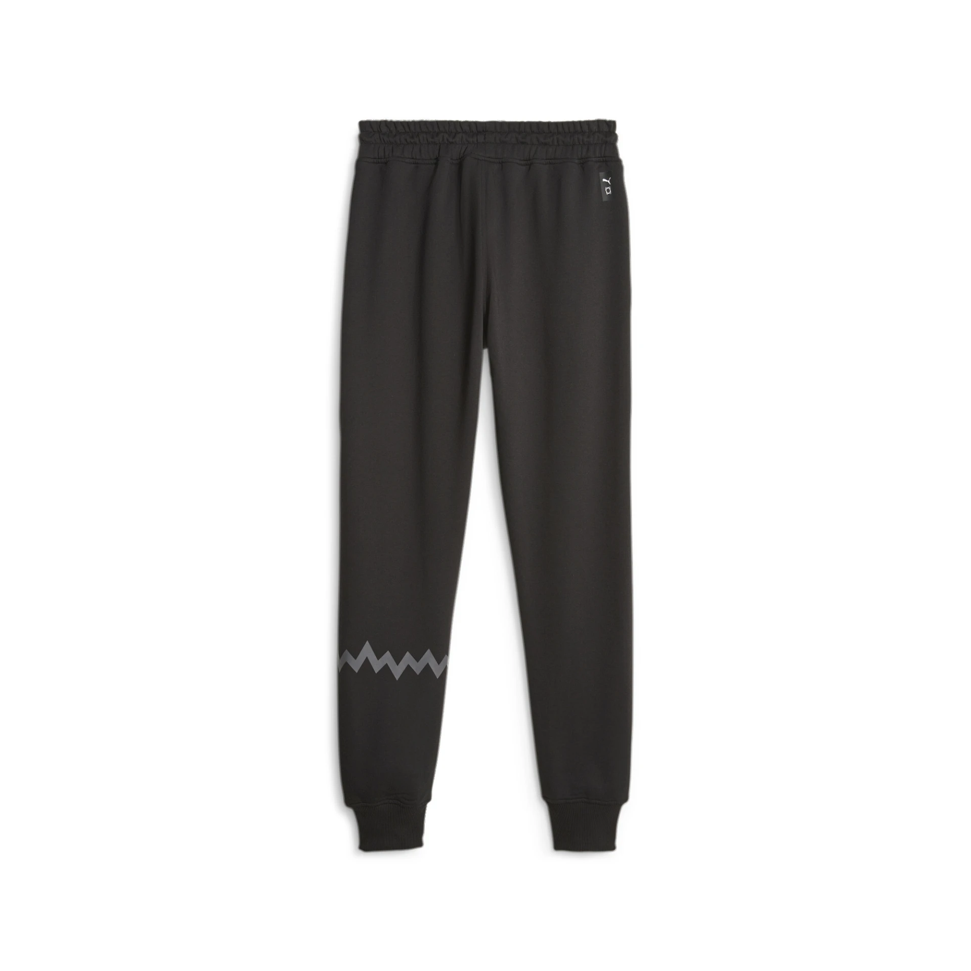 PUMA Hoops_Team_Sweat_Pant 676649 001 PUMA Black