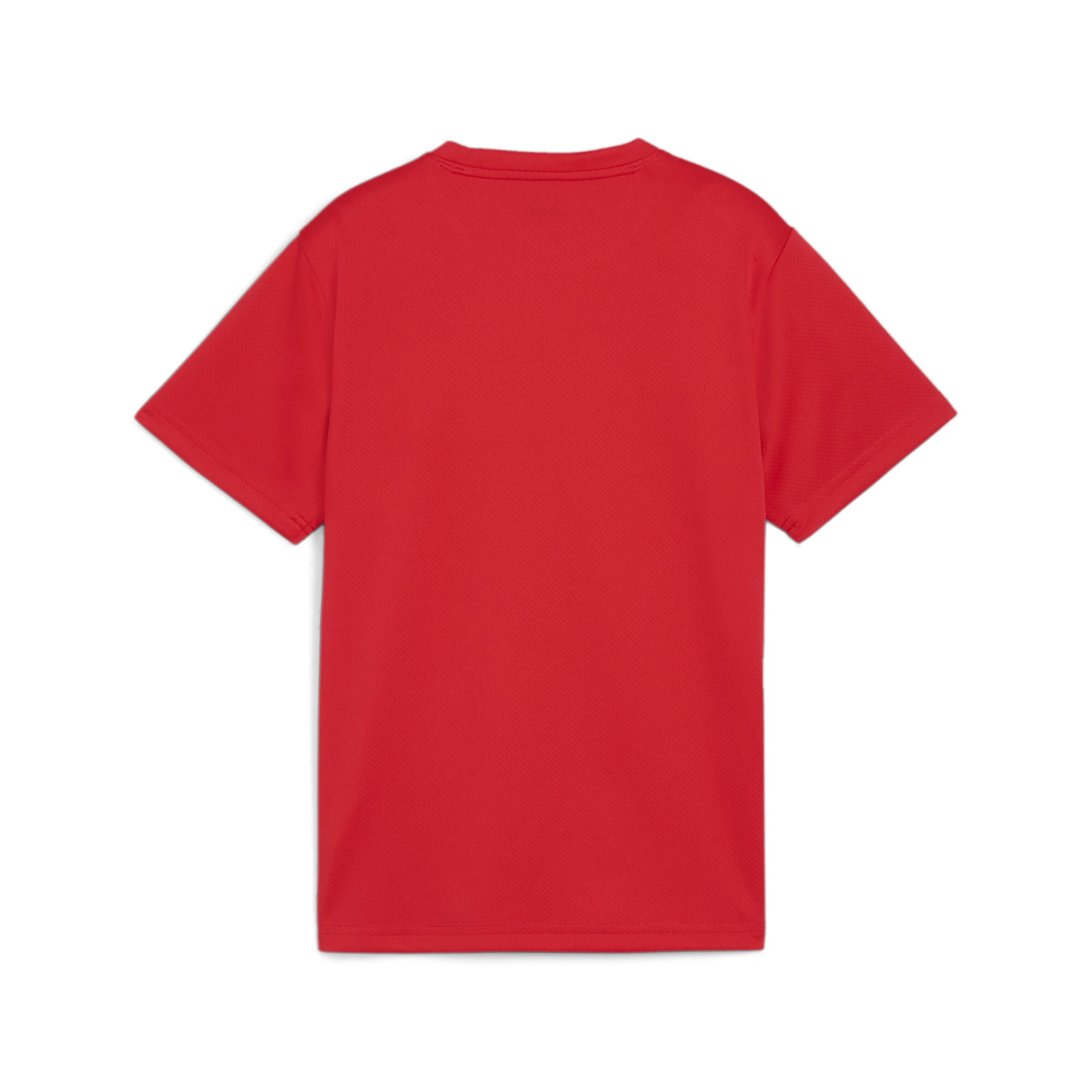 PUMA teamGOAL_Jersey_Jr 658637 001 PUMA Red-PUMA White-Fast R