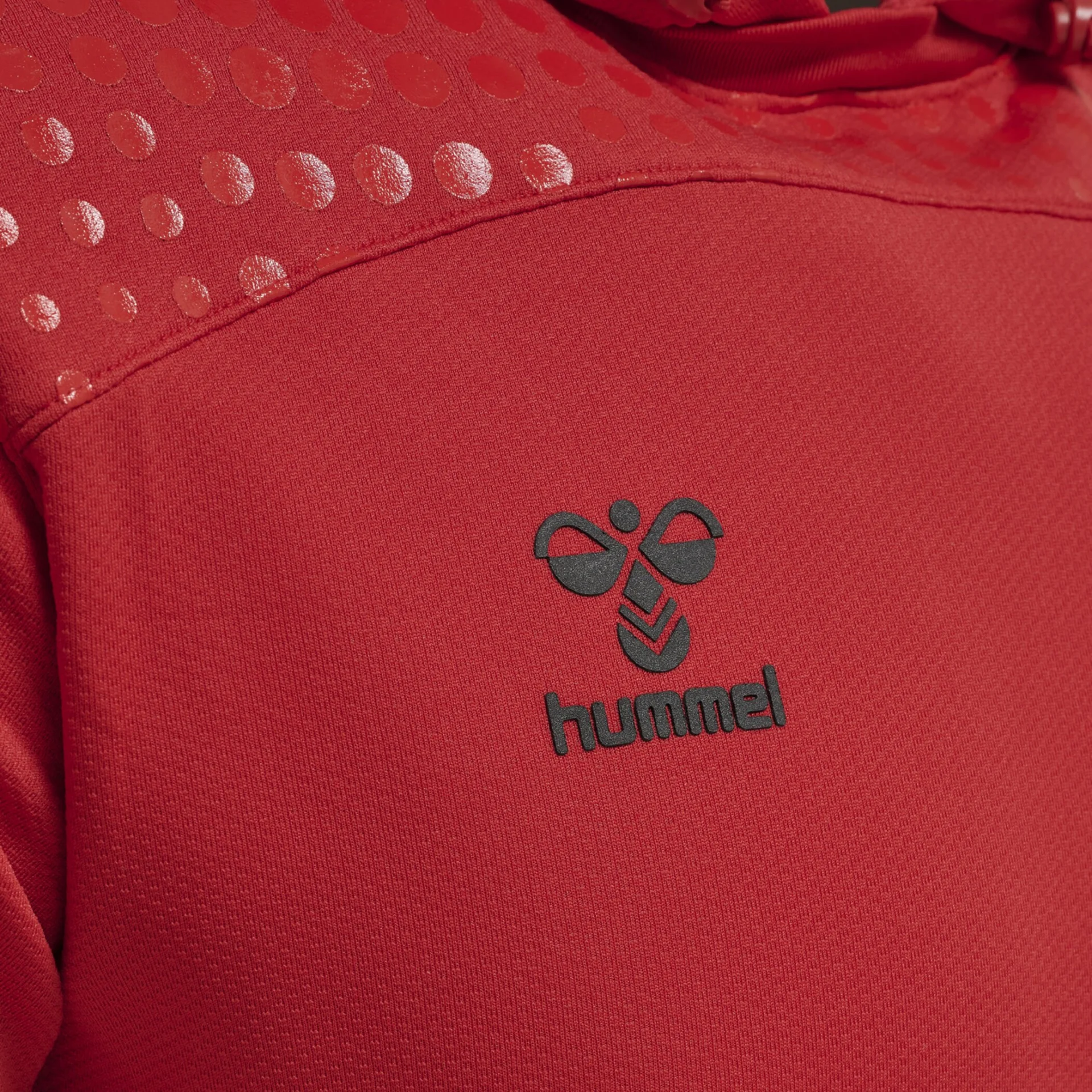 HUMMEL Herren_Kapuzensweat_hmlLEAD_POLY 207409 3062 TRUE RED