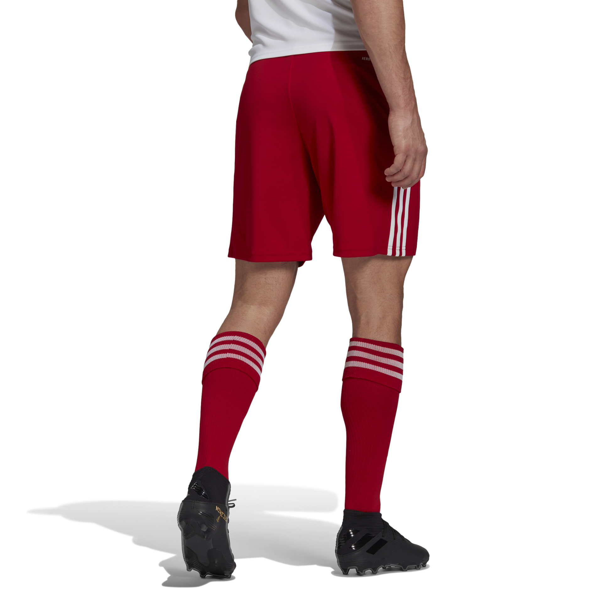 ADIDAS Squadra_21_Shorts GN5771 000 TMPWRD/WHITE