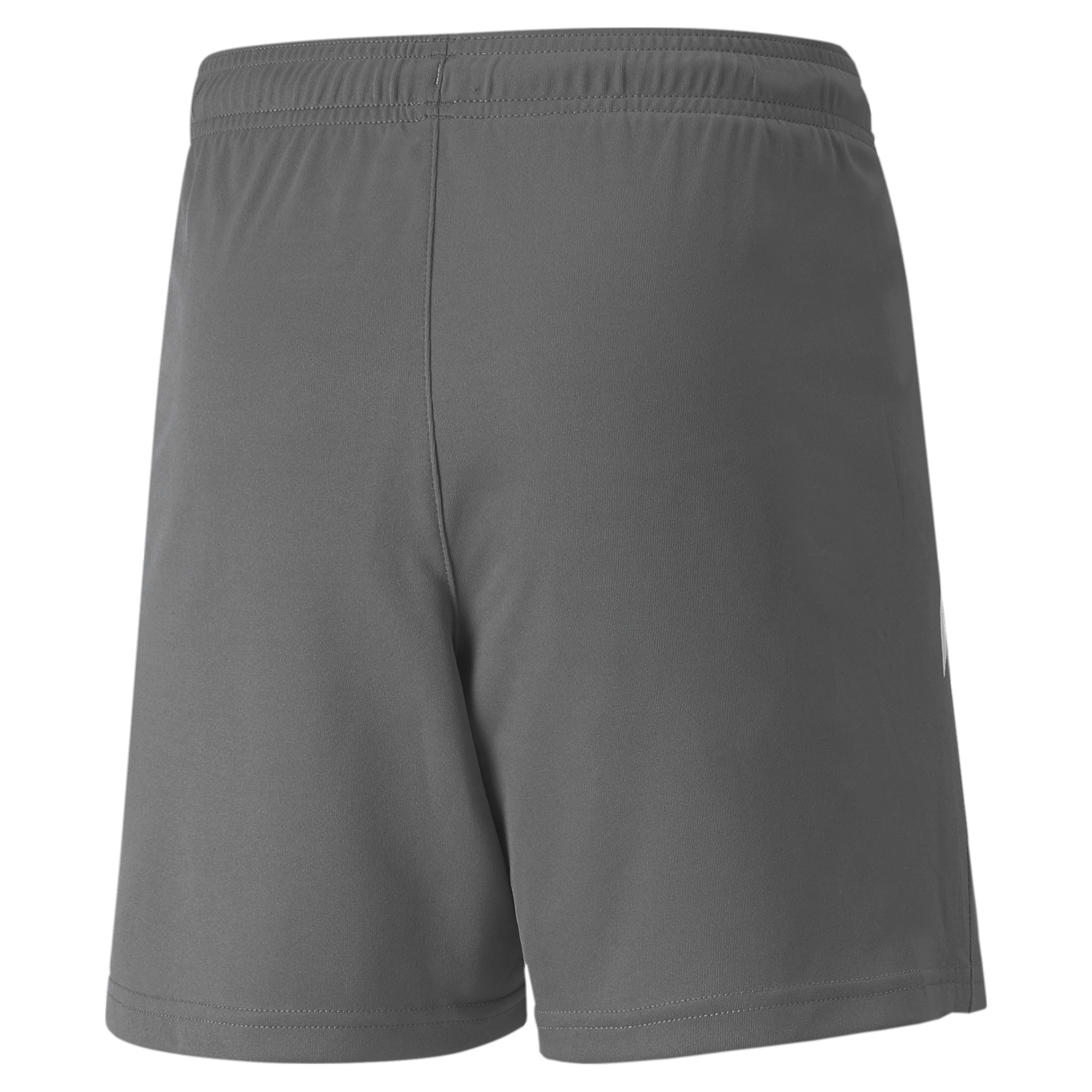 PUMA teamLIGA_Shorts_Jr 704931 013 SMOKED PEARL-PUMA WHITE