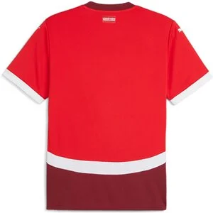 PUMA Herren_Fantrikot_SFV_HOME_Jersey_Replica 773956 001 PUMA RED-TEAM REGAL RED