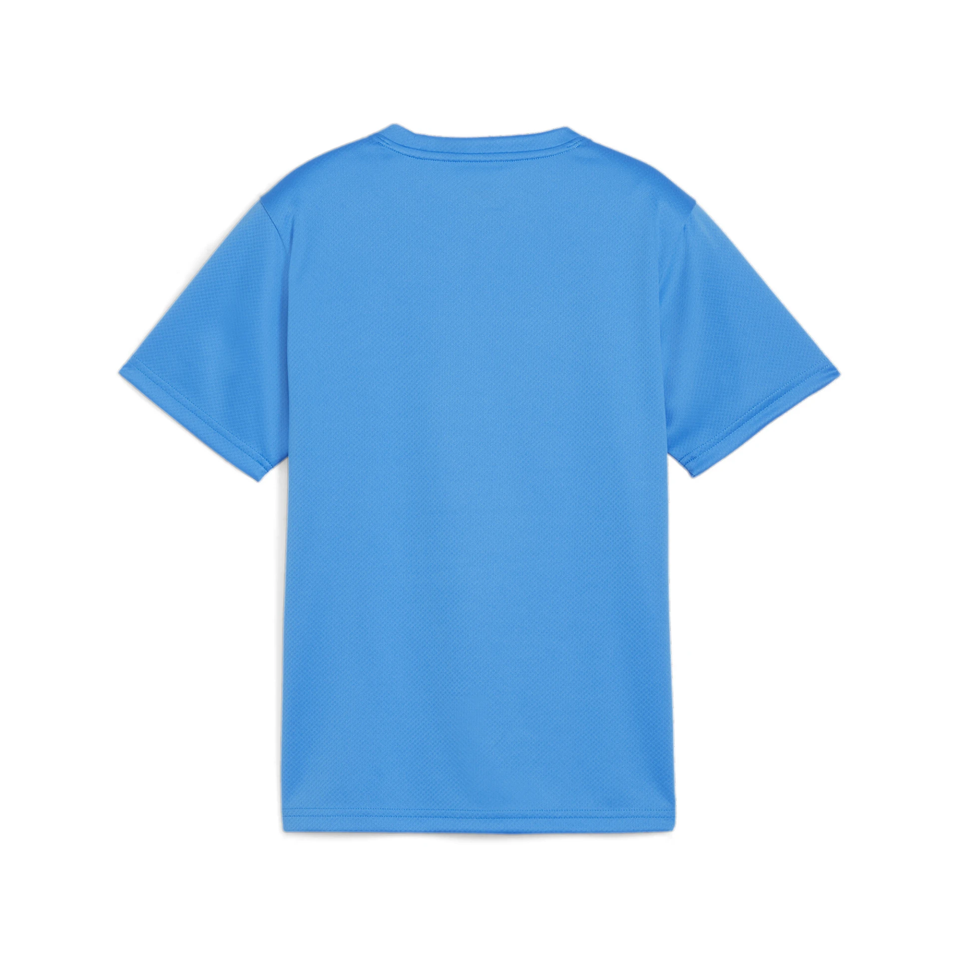 PUMA teamGOAL_Jersey_Jr 658637 002 Electric Blue Lemonade-PUM