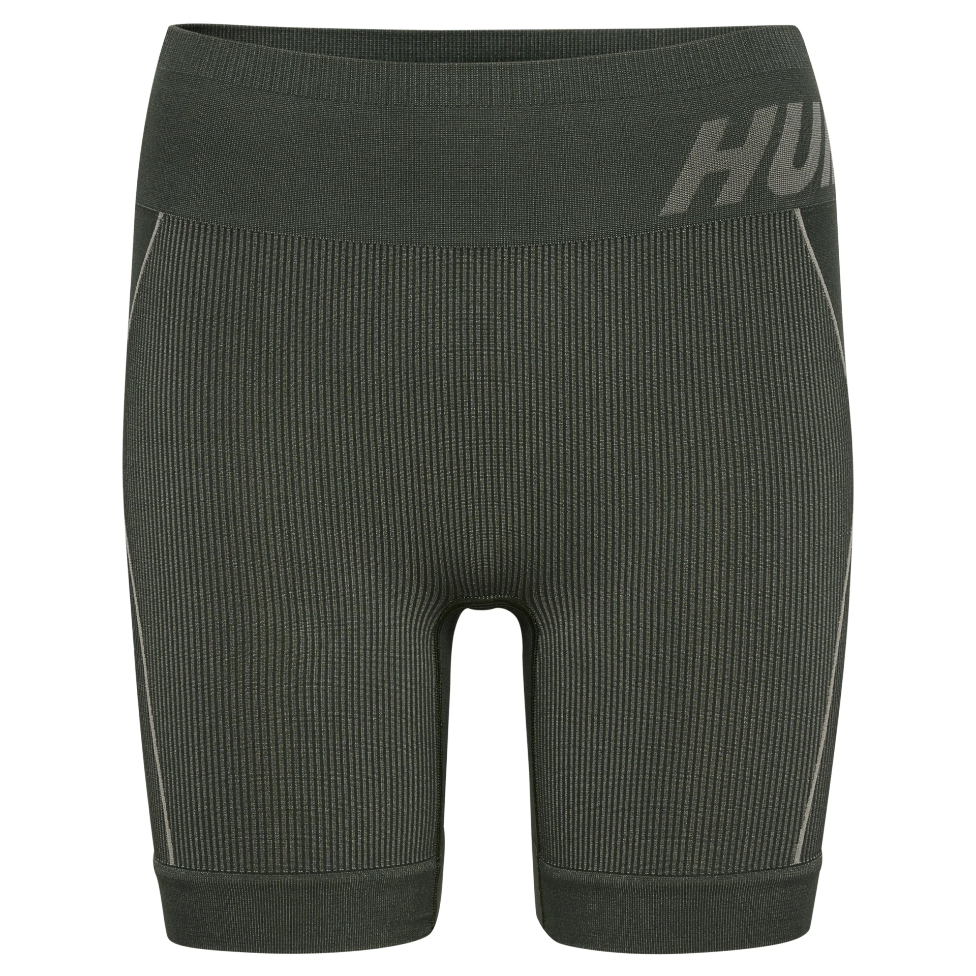 HUMMEL hmlTE_CHRISTEL_SEAMLESS_SHORTS 213755 6208 CLIMBING IVY/SEAGRASS MEL