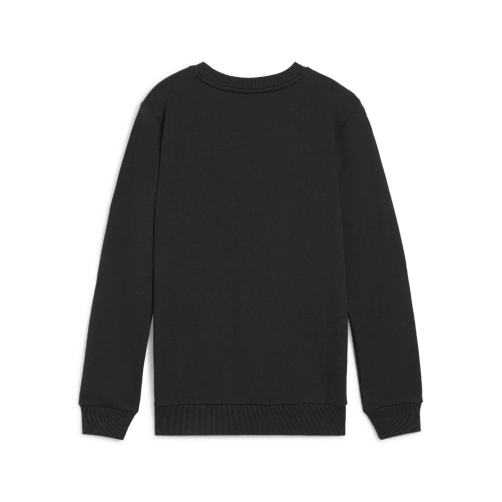 PUMA teamGOAL_Casuals_Crew_Neck_Sweat_Jr 658593 003 PUMA Black-PUMA White