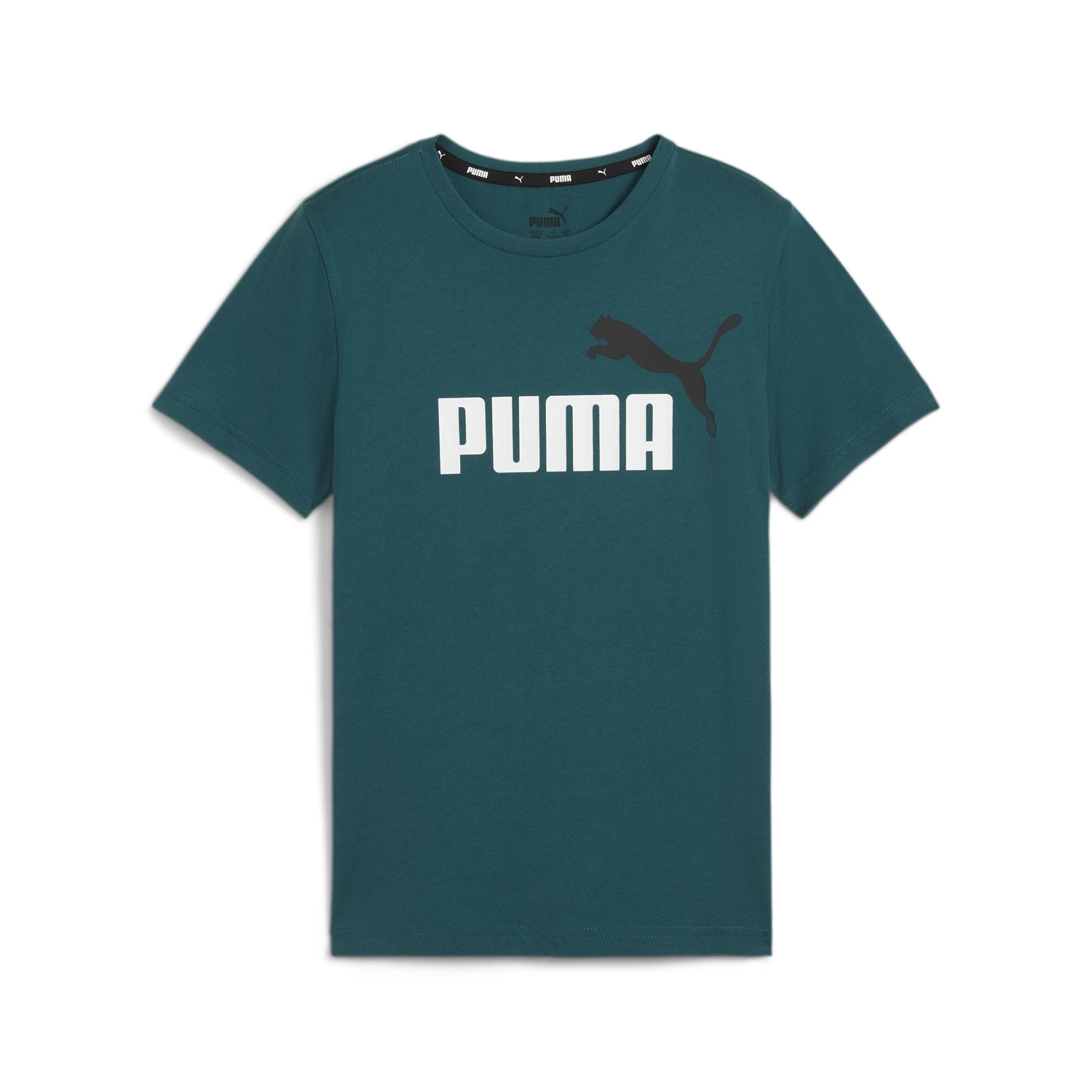PUMA ESS_plus_2_Col_Logo_Tee_B 586985 008 Cold Green