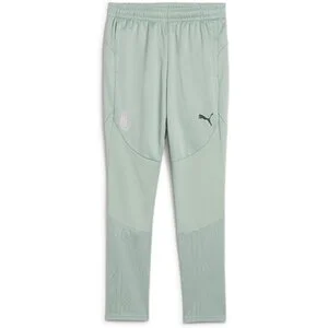 PUMA Kinder_Fanhose_ACM_Training_Pants_JR 777513 013 Green Fog-Grape Mist